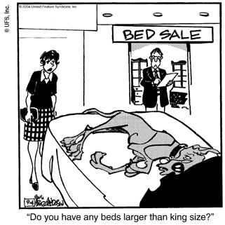 marmaduke